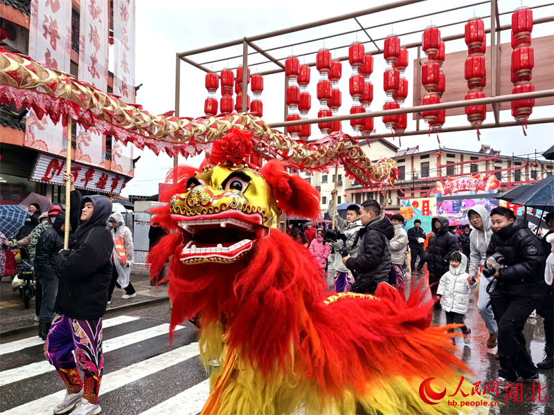 舞獅舞龍鬧新春。人民網(wǎng)記者 周雯攝