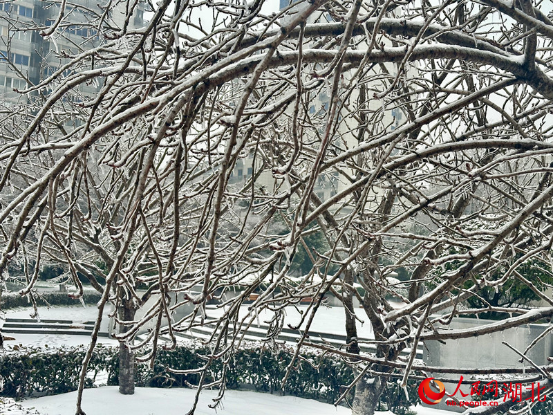 范圍廣，極端性強(qiáng)！氣象專家解讀凍雨